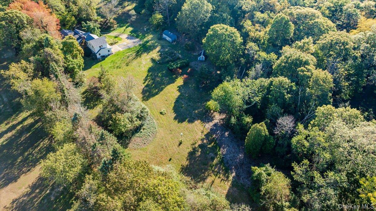 27 Cold Spring Hills Road Huntington, NY 11743 - Photo 46 of 48 a view of grapes plant in a garden
