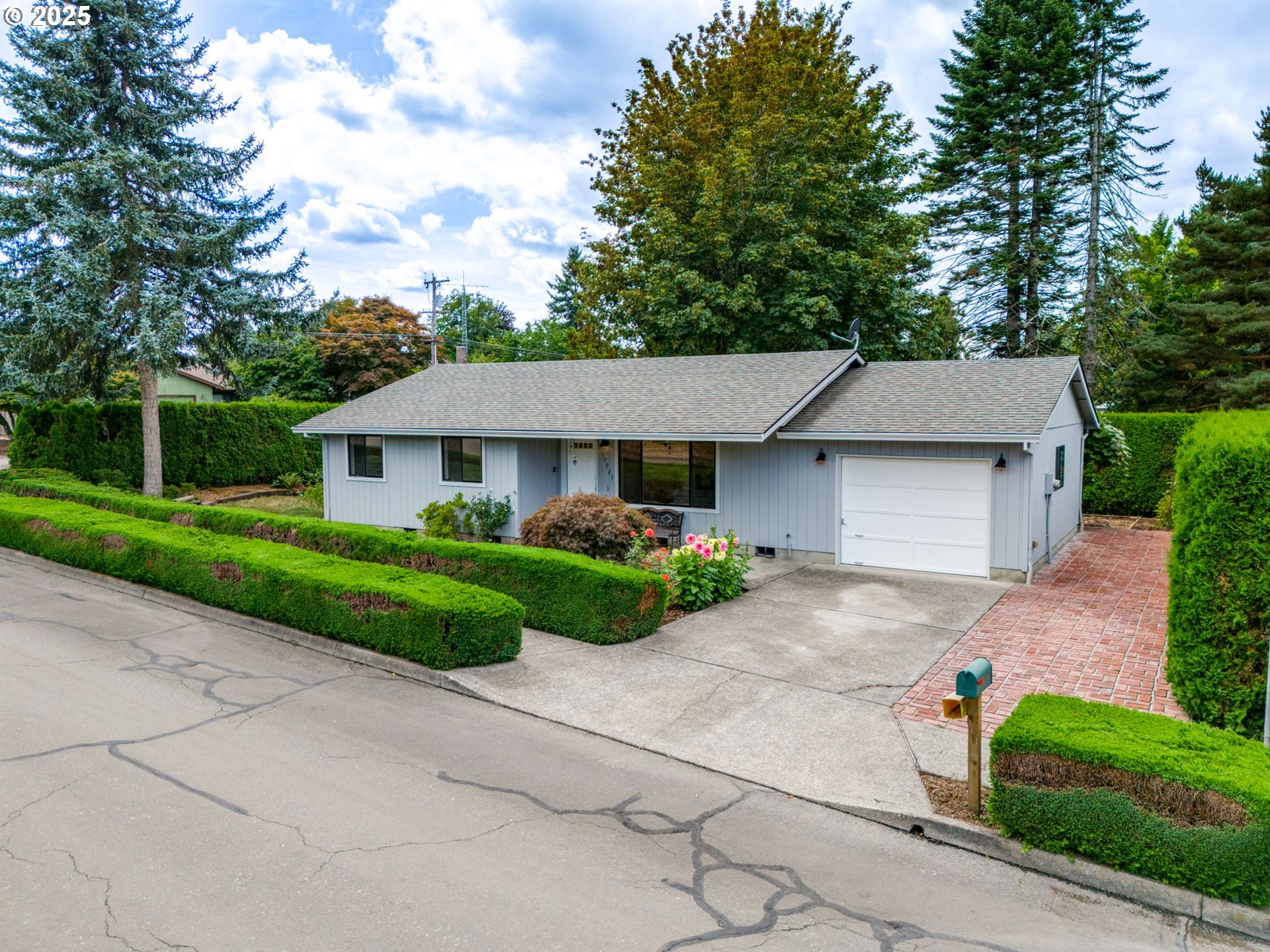 a front view of a house with a garden and plants