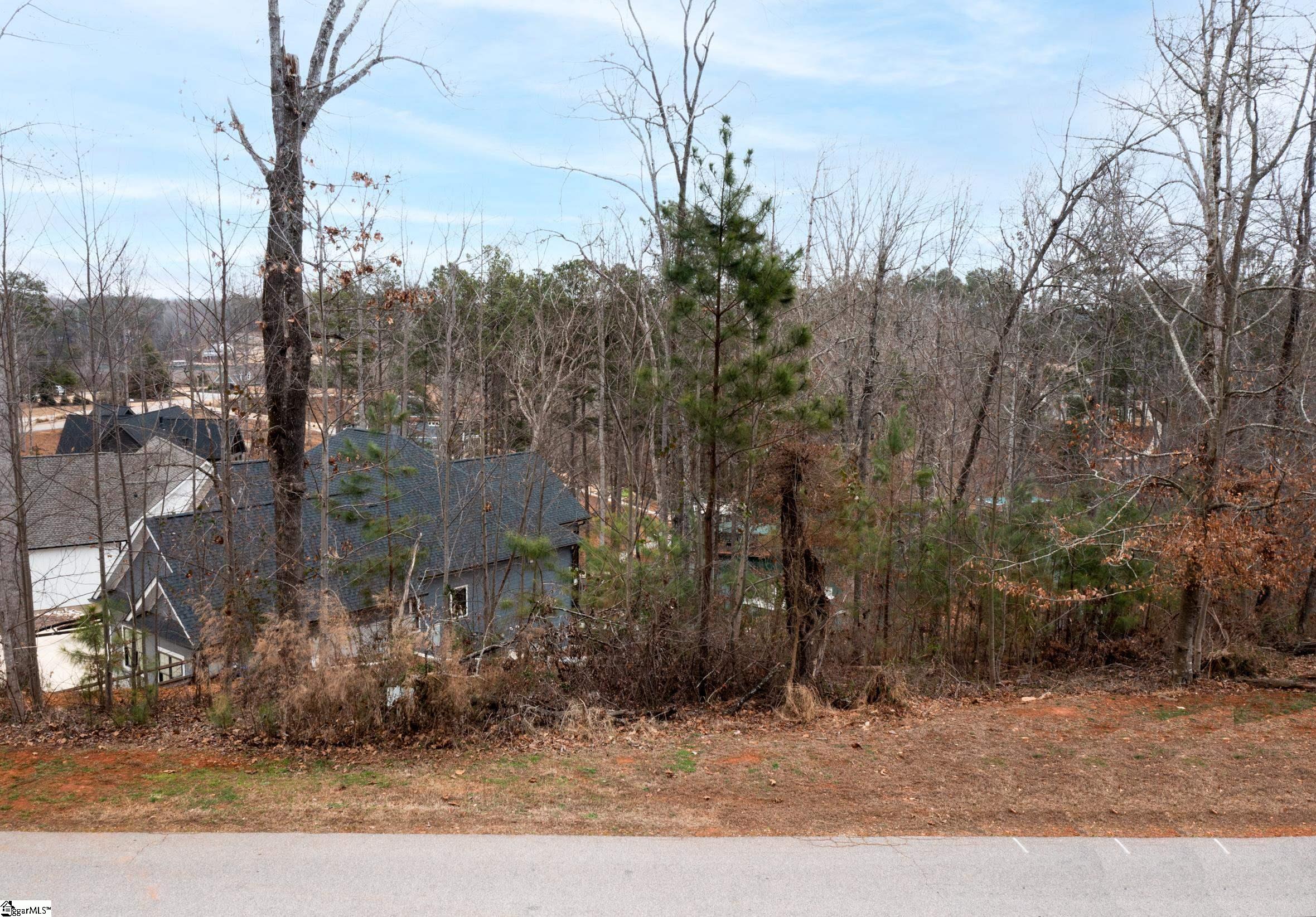 Lot 17 Retreat Pointe Road Suches, GA 30572 - Photo 17 of 22