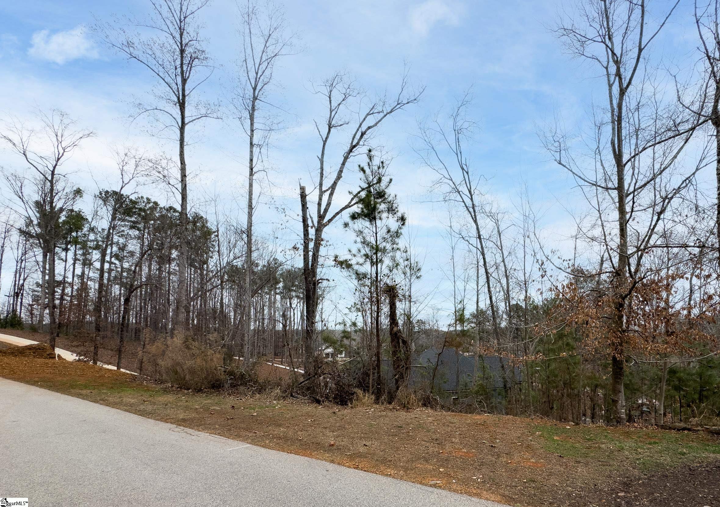 Lot 17 Retreat Pointe Road Suches, GA 30572 - Photo 4 of 22