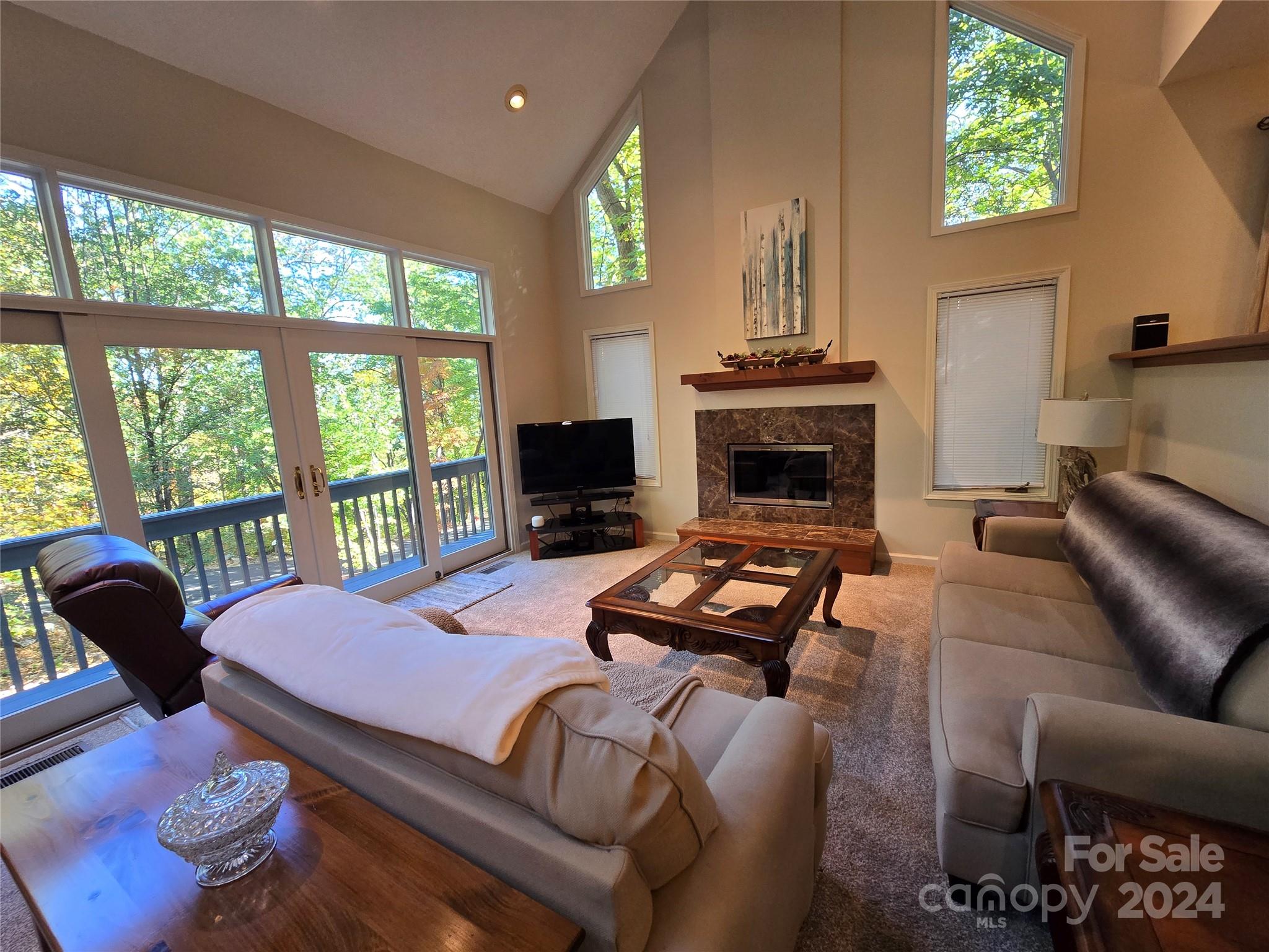 443 Bolt Road Lake Lure, NC 28746 - Photo 15 of 32 Gallery Image 15