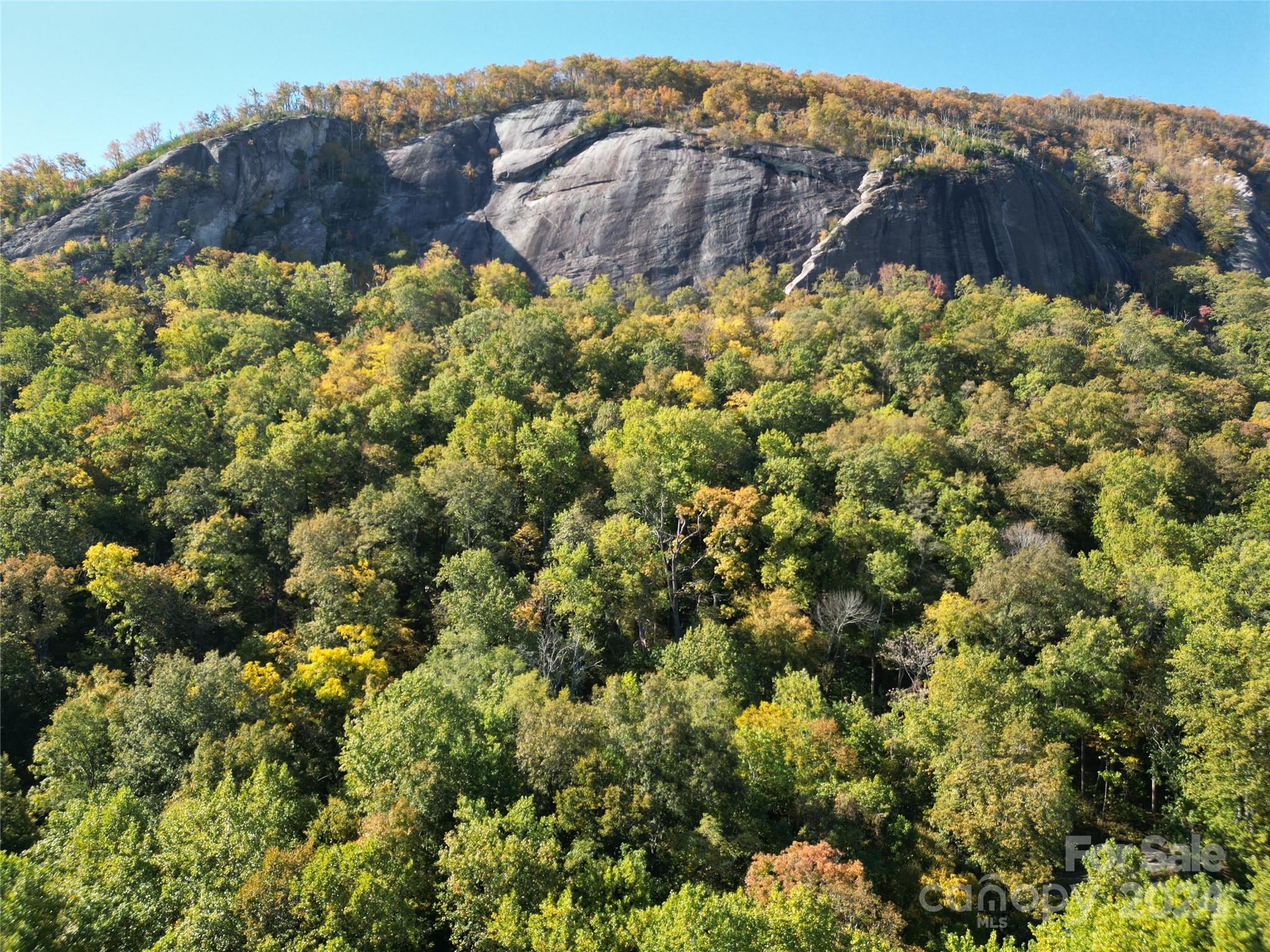 443 Bolt Road Lake Lure, NC 28746 - Photo 17 of 32 Gallery Image 17