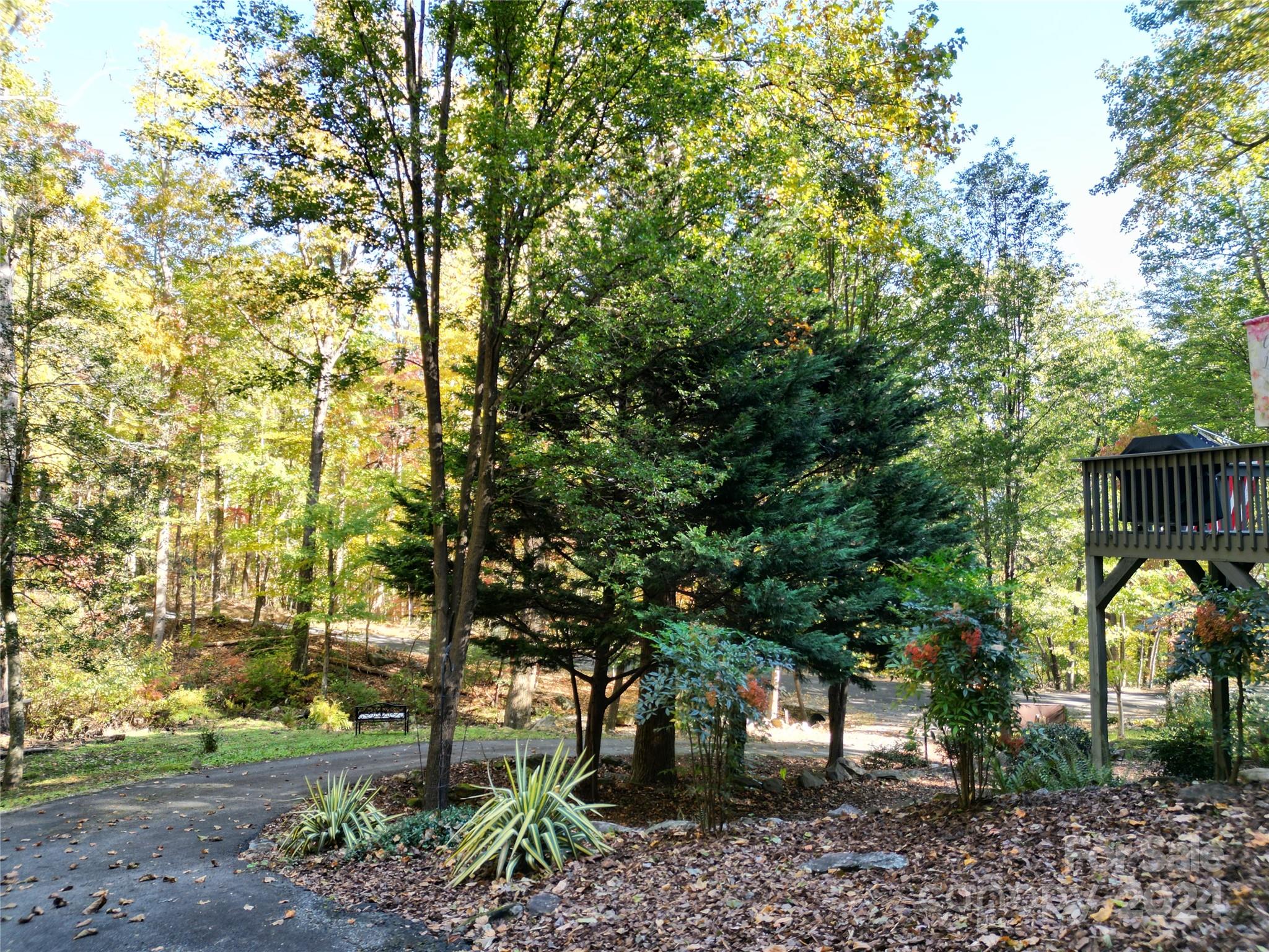 443 Bolt Road Lake Lure, NC 28746 - Photo 19 of 32 Gallery Image 19