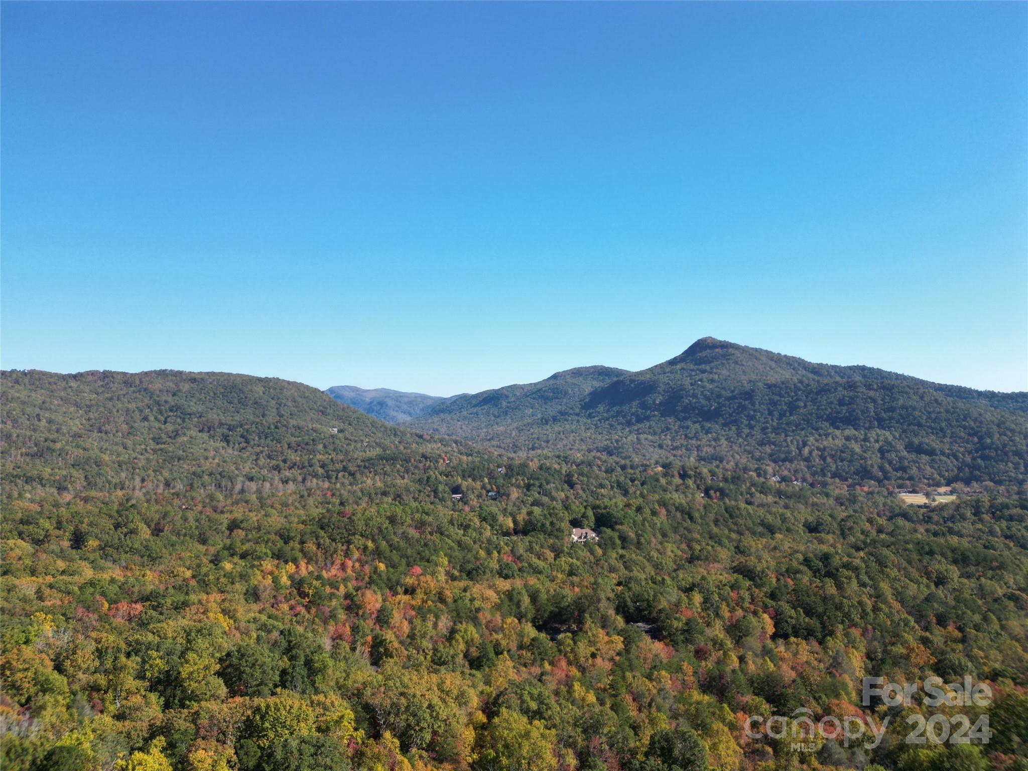 443 Bolt Road Lake Lure, NC 28746 - Photo 21 of 32 Gallery Image 21