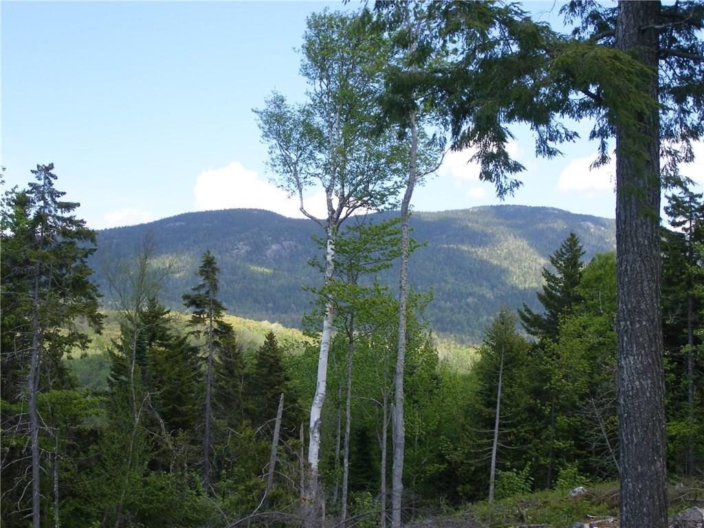 Tbd Tbd Mountain Road, Unit PLANTATION Stratton, ME 04982 - Photo 1 of 1 Clear out trees to create similar view .