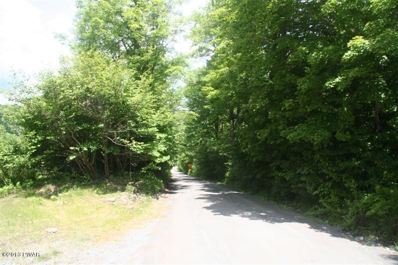 Creek Road Pleasant Mount, PA 18453 - Photo 4 of 9