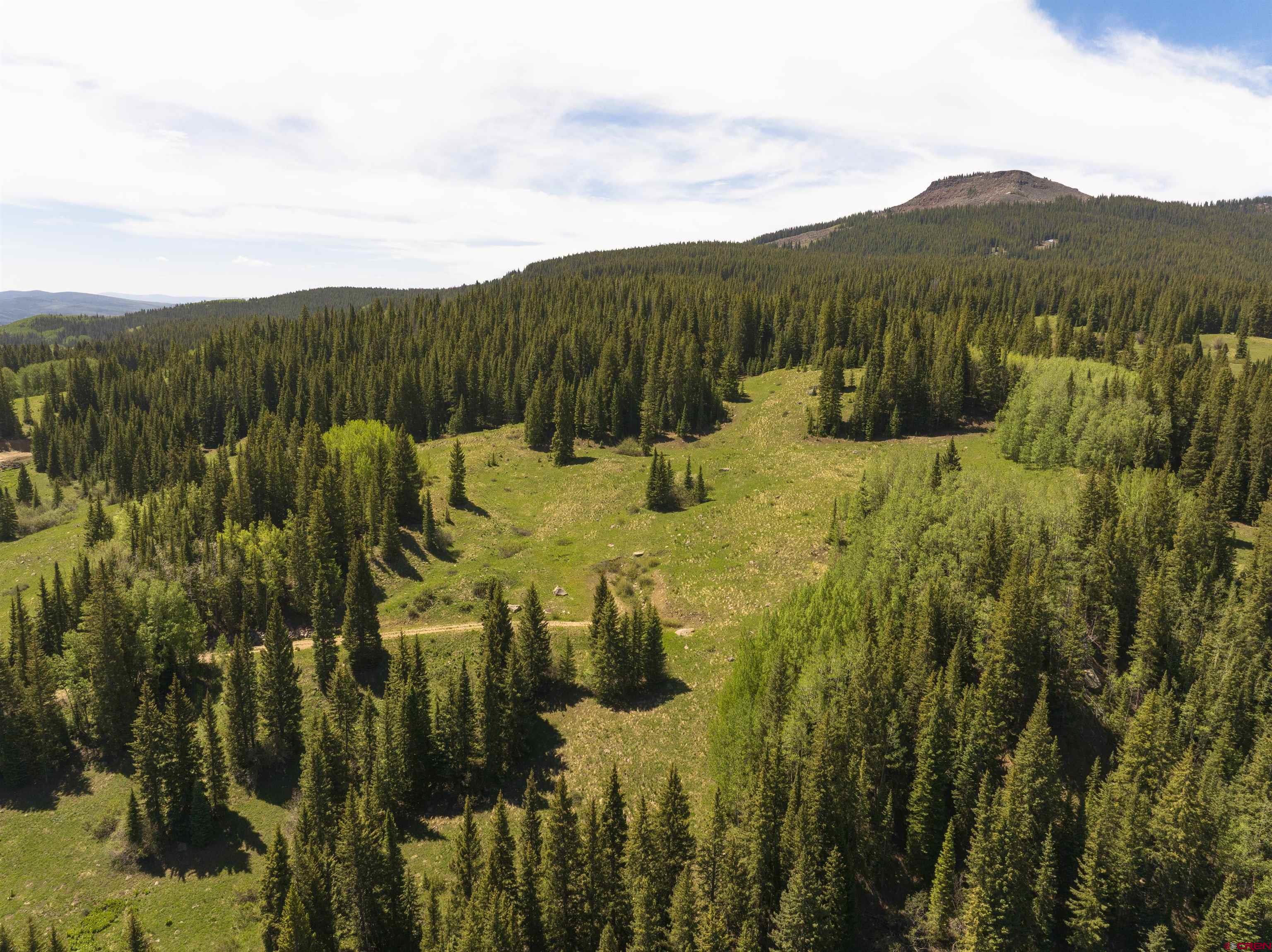 1371 Red Mountain Ranch Road Crested Butte, CO 81224 - Photo 16 of 41