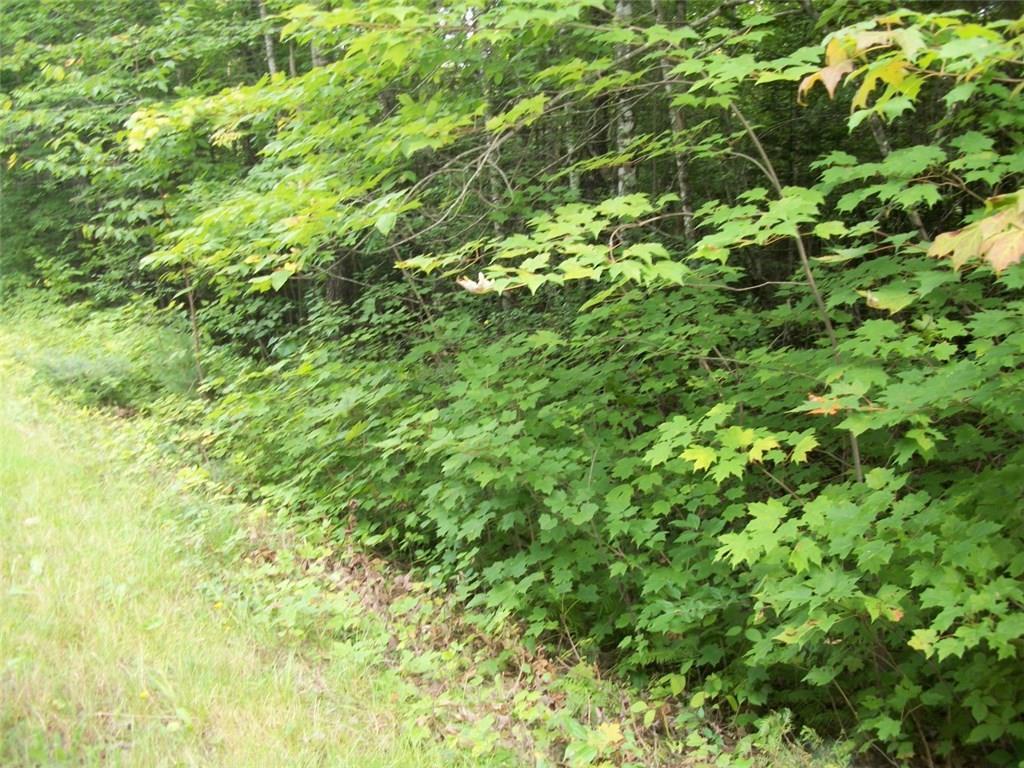 0 Elliotsville Road Monson, ME 04464 - Photo 5 of 15 Photo
