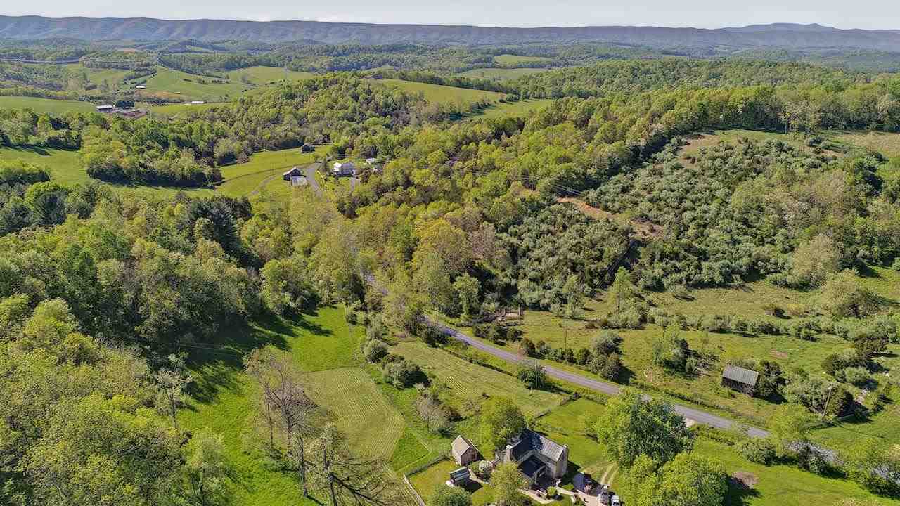 1108 Newport Road Raphine, VA 24472 - Photo 5 of 50 a view of a lush green field with lots of plants