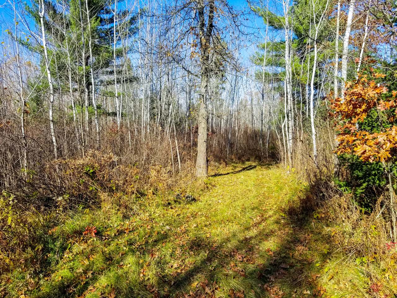 Lot 3 Lake Nokomis Road Tomahawk, WI 54487 - Photo 3 of 22 Gallery Image 3