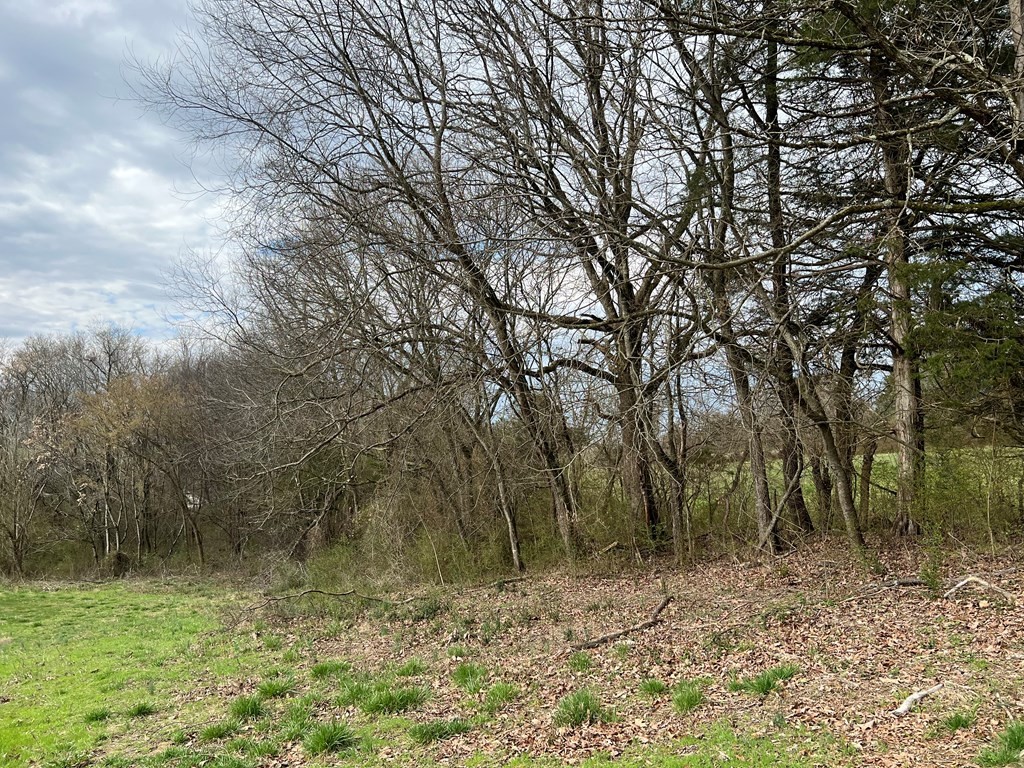 236 Loop Road Parrottsville, TN 37843 - Photo 2 of 21 Gallery Image 2