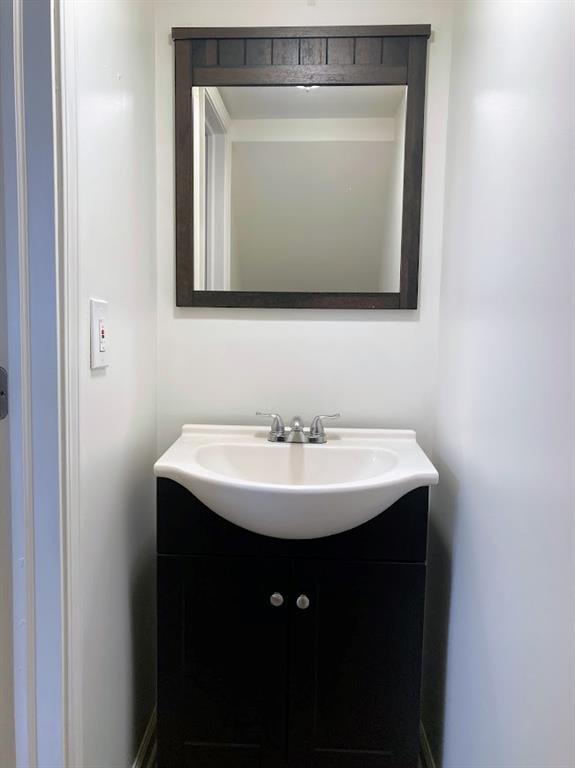 4974 Williamsport Road Elizabeth, PA 15037 - Photo 10 of 34 a bathroom with a sink and a mirror