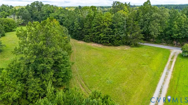 a view of a large yard with plants and large trees