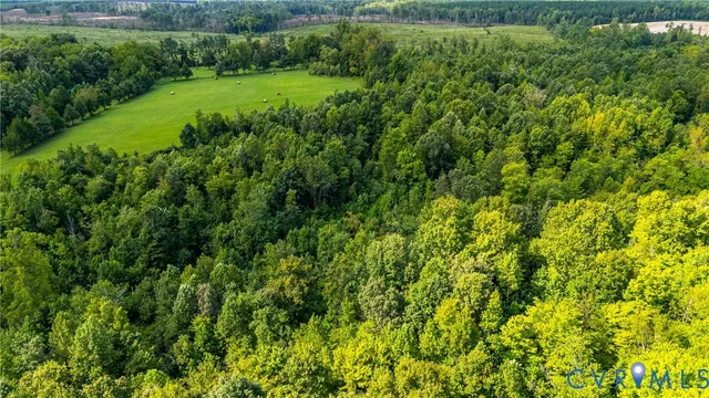 a view of a garden with a tree