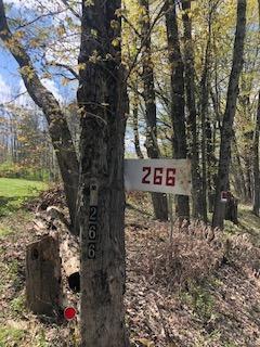 266 Towers Road Hartwick, NY 13807 - Photo 1 of 1 Gallery Image 1