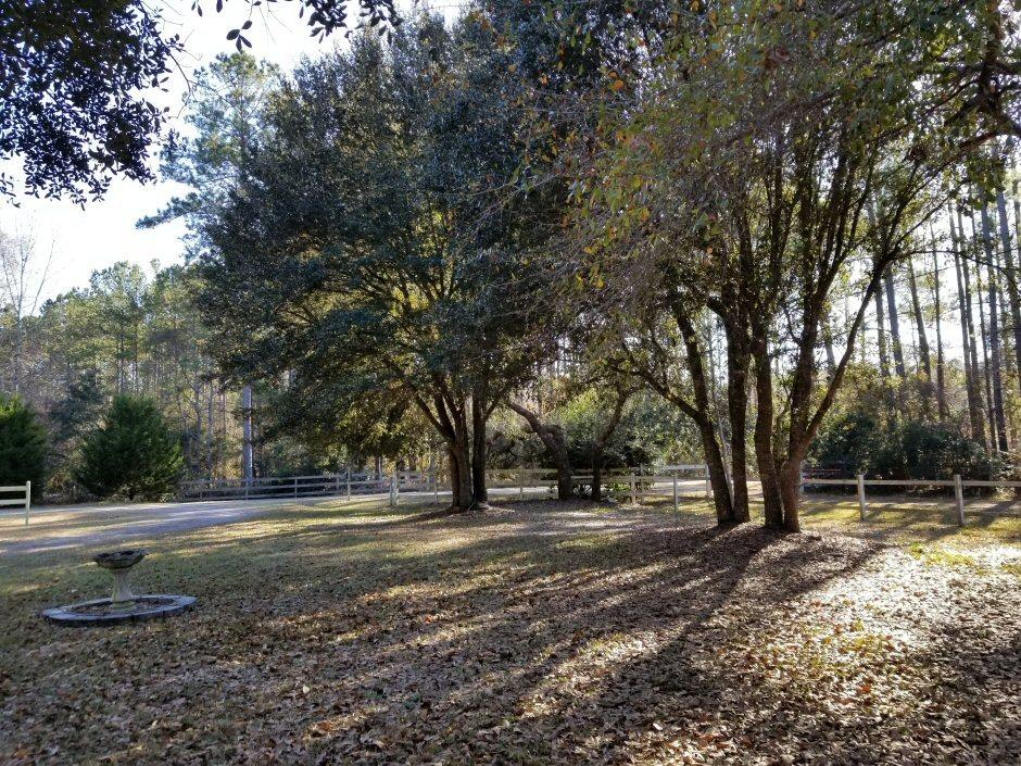 6966 Buckhorn Road Ravenel, SC 29470 - Photo 15 of 23 6966 Buckhorn Rd.