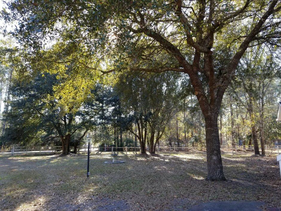 6966 Buckhorn Road Ravenel, SC 29470 - Photo 17 of 23 6966 Buckhorn Rd