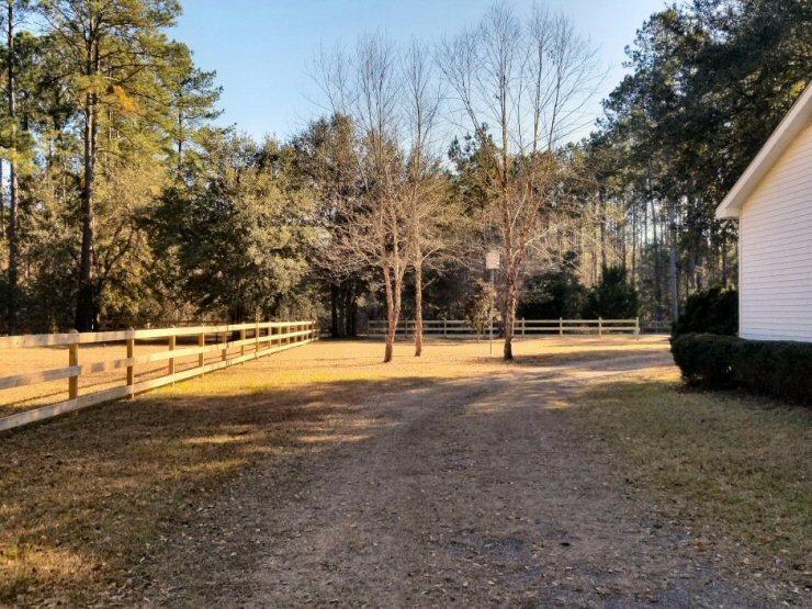 6966 Buckhorn Road Ravenel, SC 29470 - Photo 22 of 23 6966 Buckhorn Rd