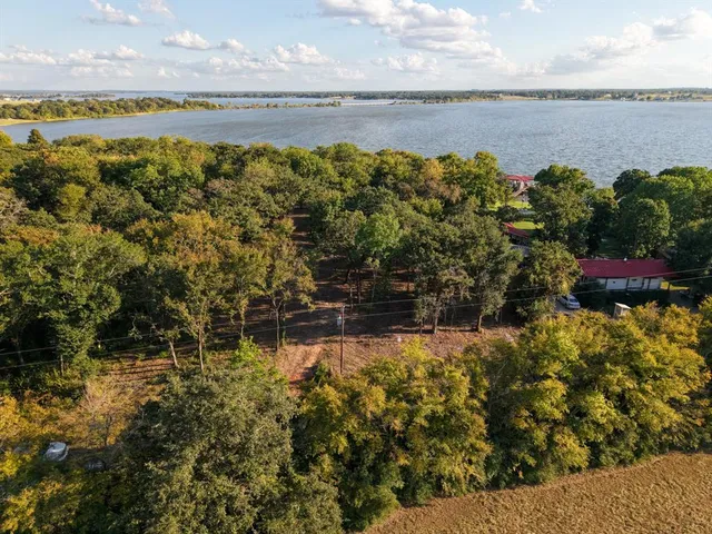 a view of a yard with large trees