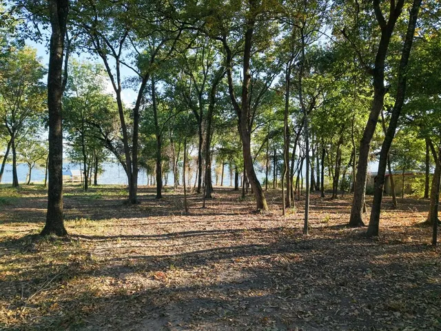 a view of road with trees