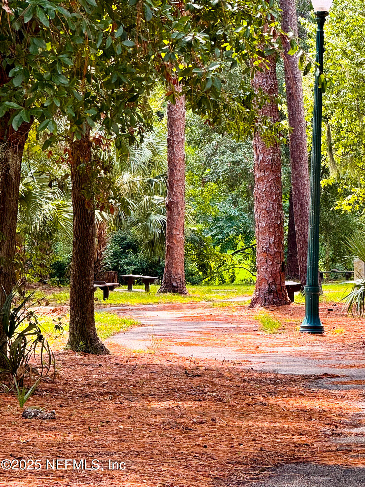 3515 Valencia Road Jacksonville, FL 32205 - Photo 23 of 24 a view of a swimming pool with a yard