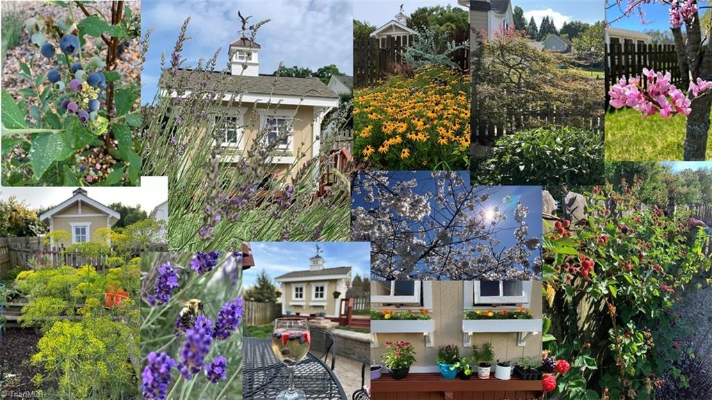 3303 Bardwell Road Greensboro, NC 27410 - Photo 48 of 50 The landscaping includes flowers, evergreens, varietals, blueberries, blackberries, asparagus, rosemary, basil and more (shown later in the spring)