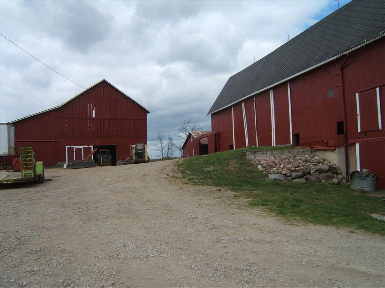 9165 Neal Road Manchester, MI 48158 - Photo 12 of 13 Photo 12