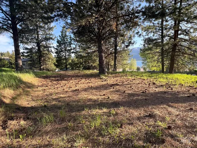 $450,000 | 515 Lakeview Avenue, Cascade, ID 83611