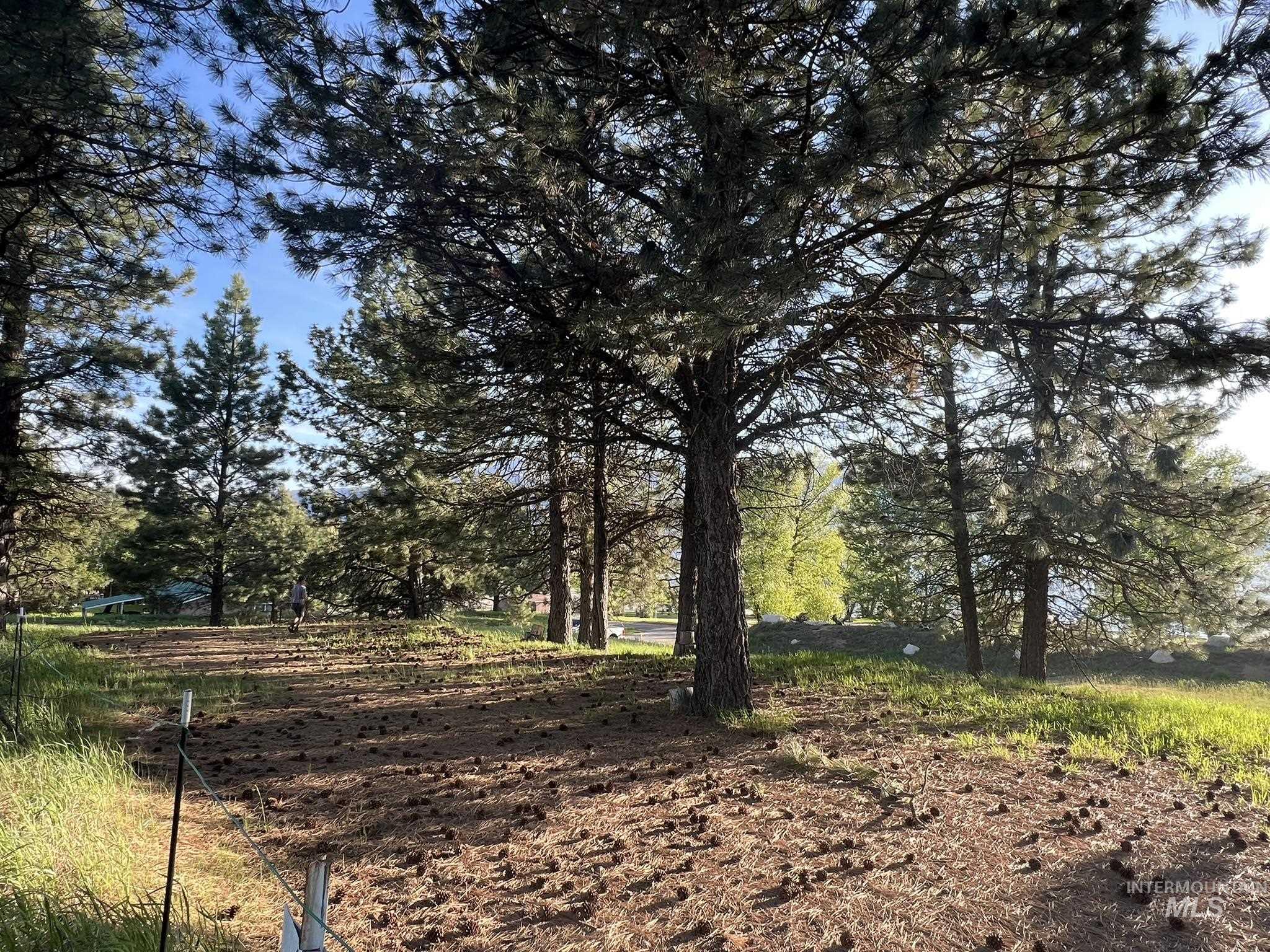 515 Lakeview Avenue Cascade, ID 83611 - Photo 13 of 50