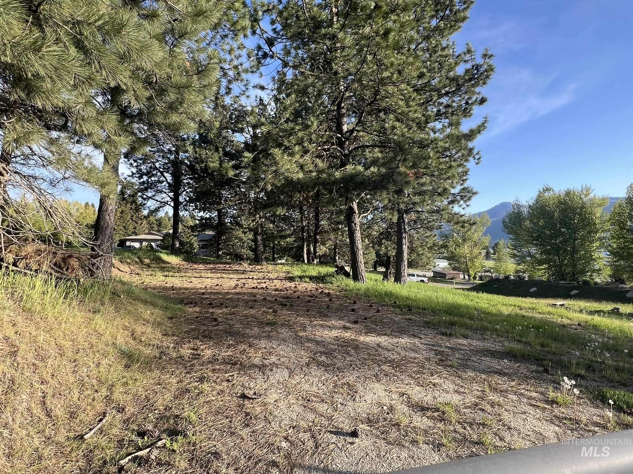 515 Lakeview Avenue Cascade, ID 83611 - Photo 2 of 50