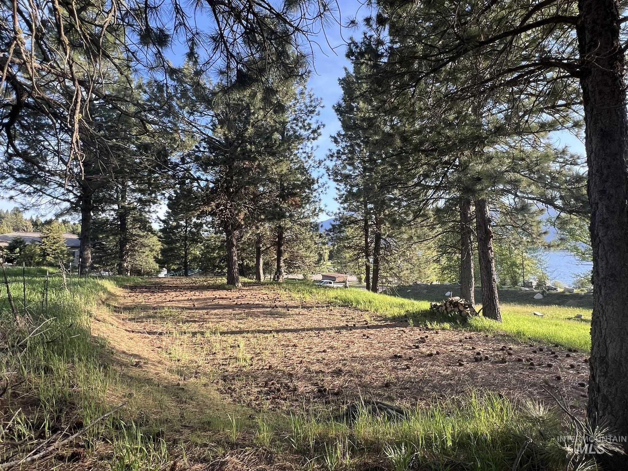 515 Lakeview Avenue Cascade, ID 83611 - Photo 21 of 50