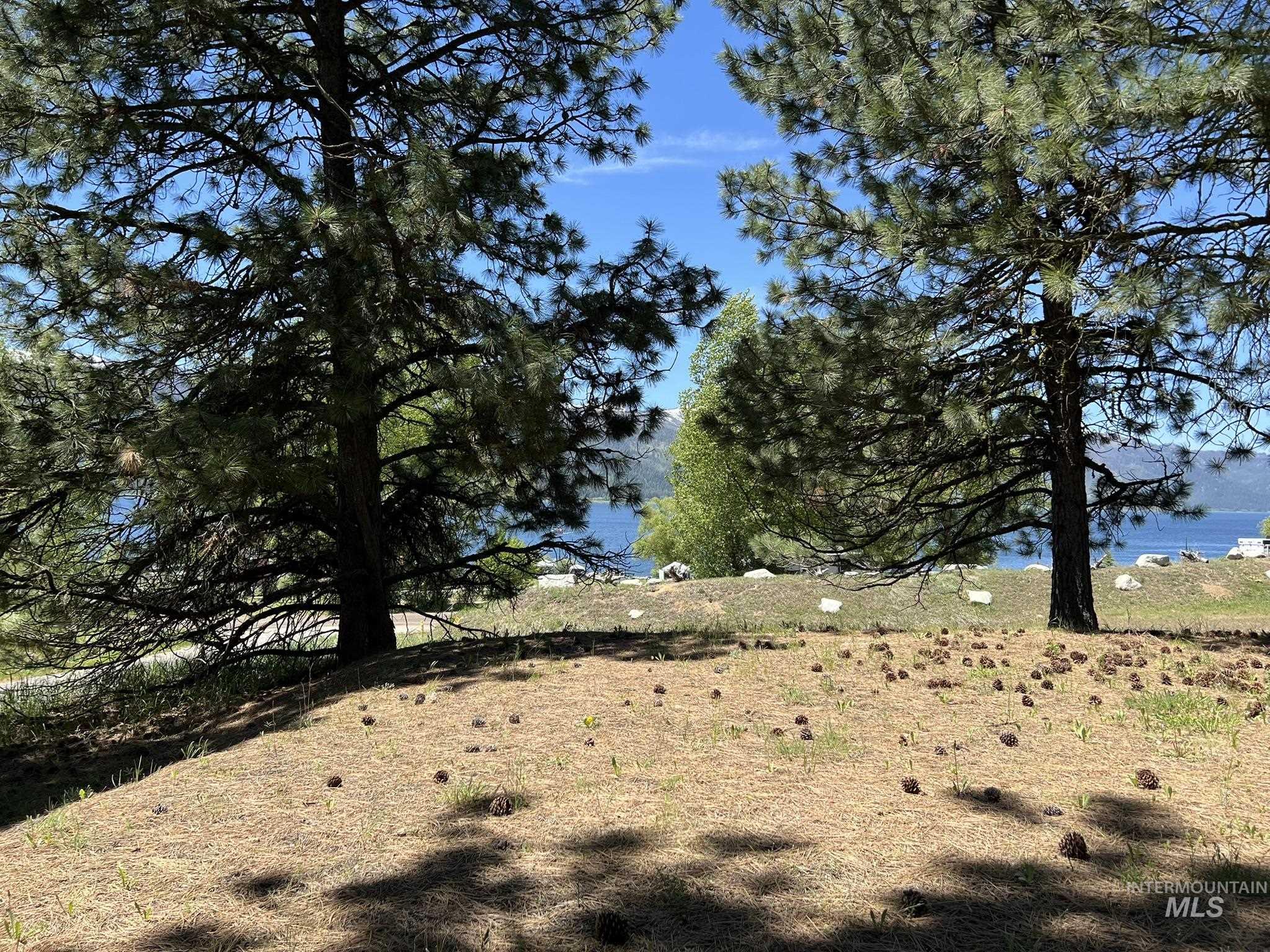 515 Lakeview Avenue Cascade, ID 83611 - Photo 49 of 50