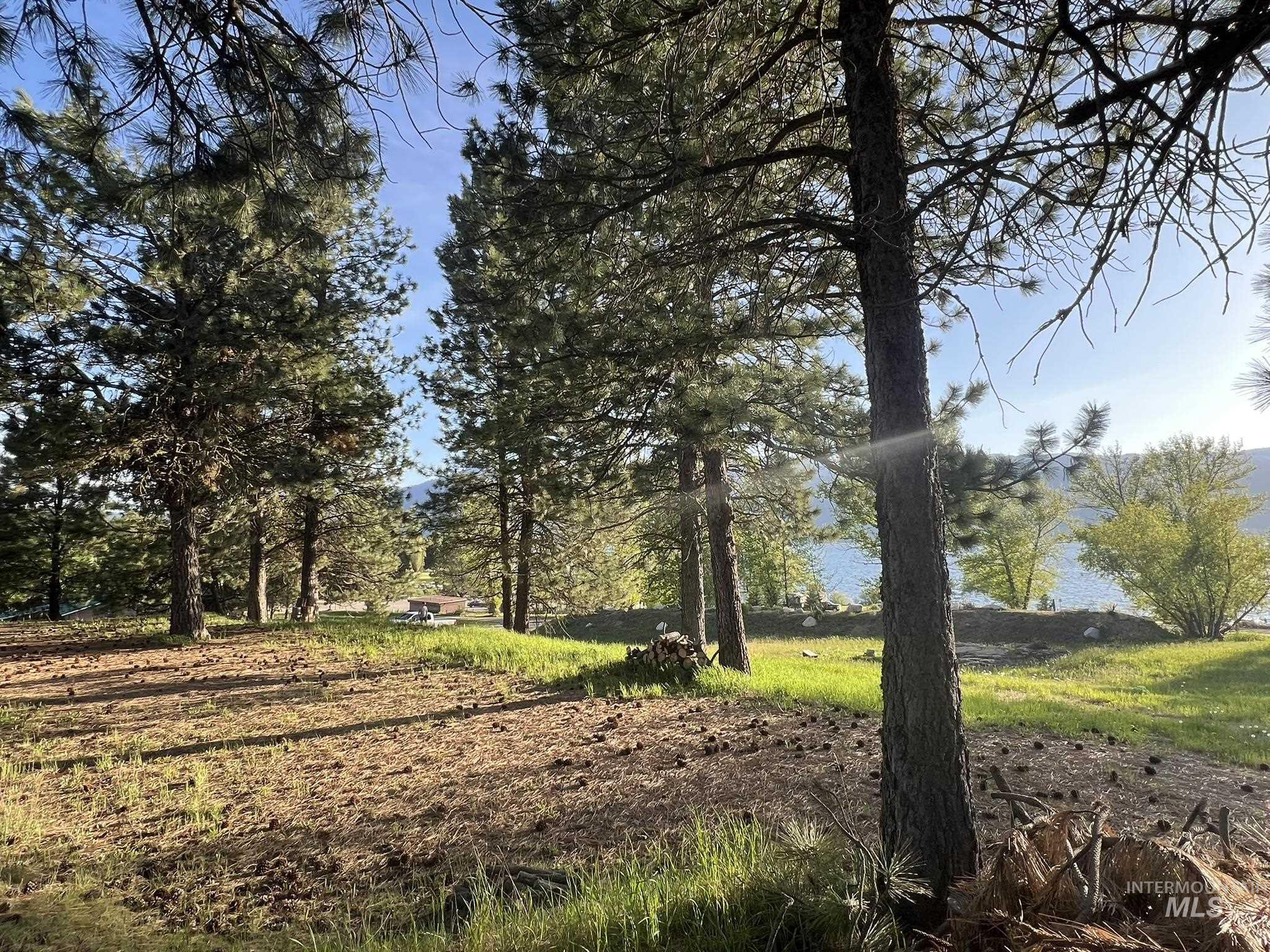 515 Lakeview Avenue Cascade, ID 83611 - Photo 10 of 50