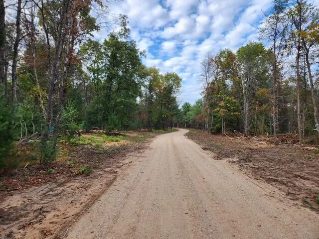 $52,900 | Parcel I Parcel I Tatanka Trail, Baldwin, MI 49304