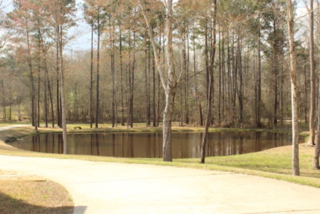 635 Klopfer Road Juliette, GA 31046 - Photo 17 of 18 a view of pool and a yard