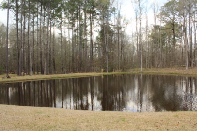 635 Klopfer Road Juliette, GA 31046 - Photo 18 of 18 a view of wooden fence