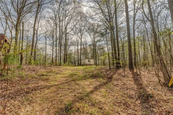 a view of backyard with trees