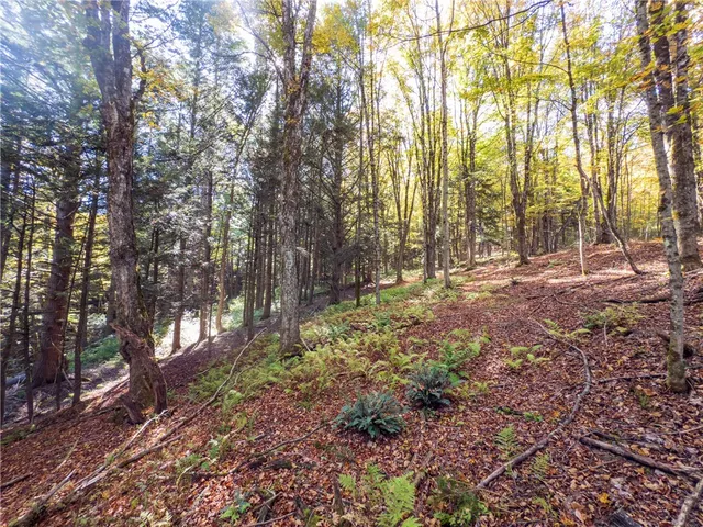 $149,000 | Reservoir Hill Road, Norwich, NY 13815