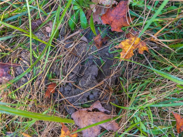 $149,000 | Reservoir Hill Road, Norwich, NY 13815