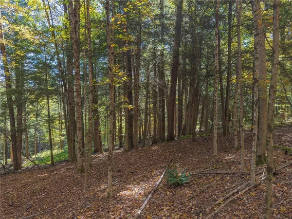 $134,000 | Reservoir Hill Road, Plymouth, NY 13815