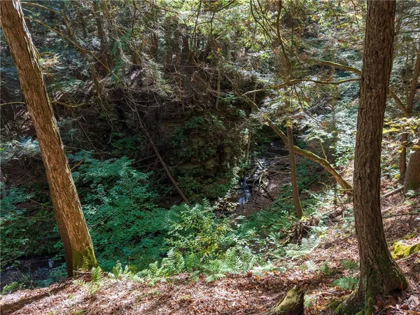 $134,000 | Reservoir Hill Road, Plymouth, NY 13815