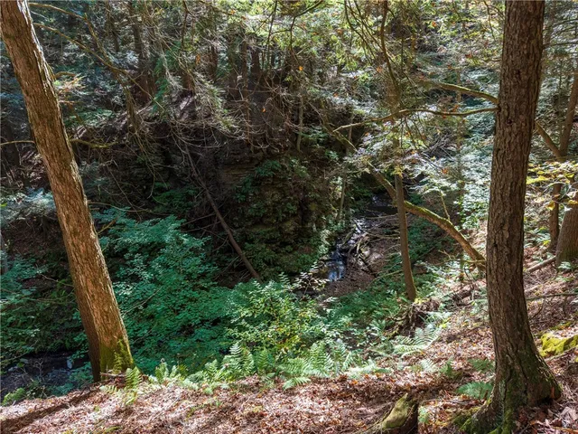 $149,000 | Reservoir Hill Road, Norwich, NY 13815