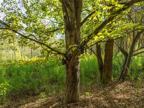 $134,000 | Reservoir Hill Road, Plymouth, NY 13815