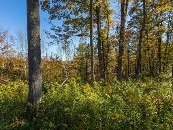 $134,000 | Reservoir Hill Road, Plymouth, NY 13815