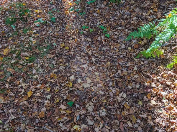 $134,000 | Reservoir Hill Road, Plymouth, NY 13815