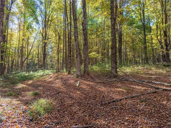 $134,000 | Reservoir Hill Road, Plymouth, NY 13815