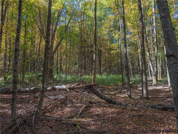 $134,000 | Reservoir Hill Road, Plymouth, NY 13815