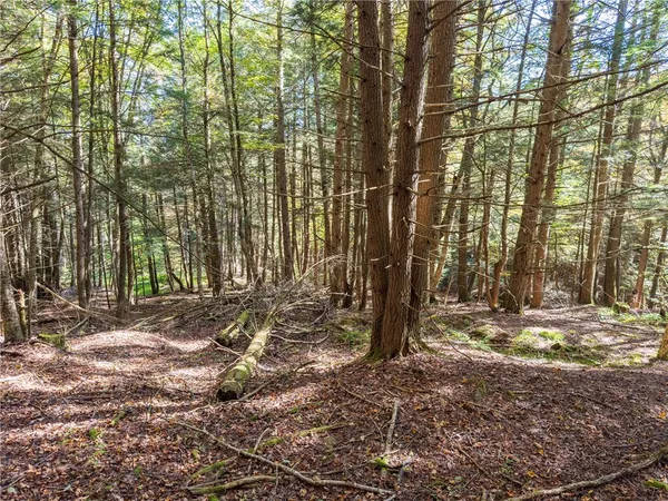 $134,000 | Reservoir Hill Road, Plymouth, NY 13815