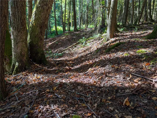 $149,000 | Reservoir Hill Road, Norwich, NY 13815