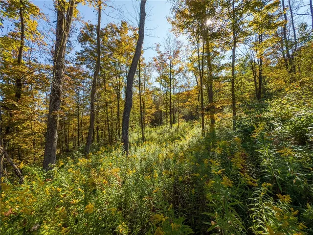 $149,000 | Reservoir Hill Road, Norwich, NY 13815